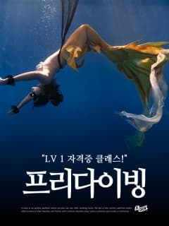(상시) 인생 버킷리스트 해외 프리다이빙 준비! Lv.1 자격증 클래스