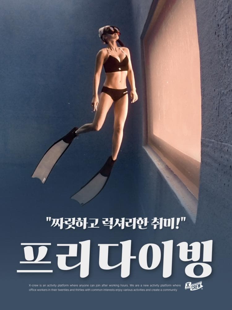 배너