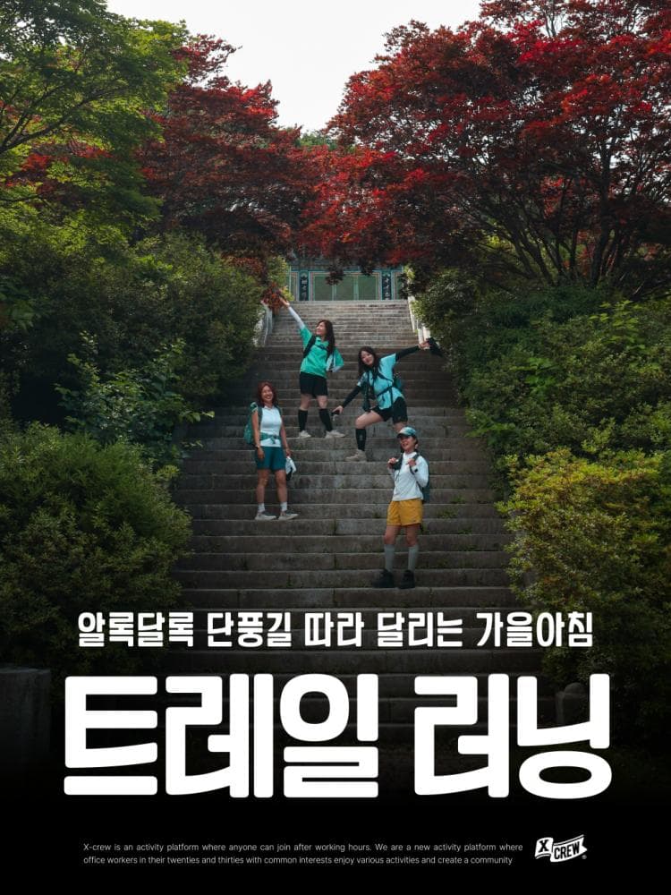 배너